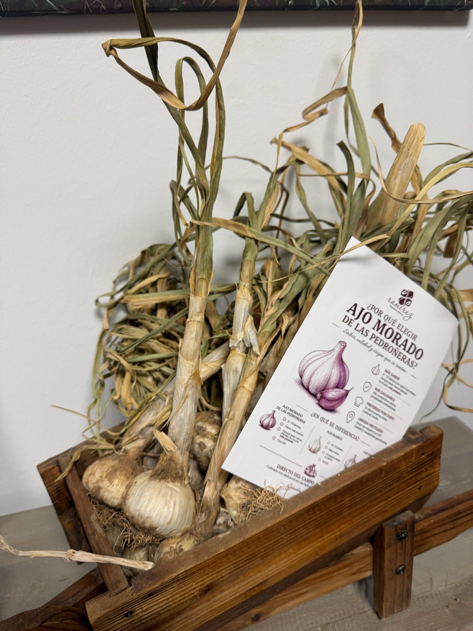 Ristras de ajo secándose junto a una carretilla de madera, con cabezas de ajo recién cosechadas